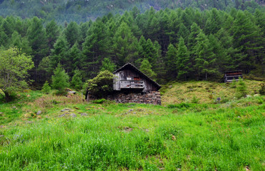 Fototapeta na wymiar Wooden Chalet (Alpine Hut) near Terenten, South Tyrol, Italy