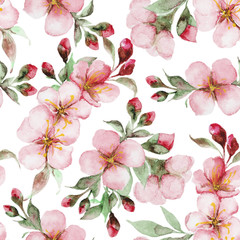 pattern of watercolor sakura flowers