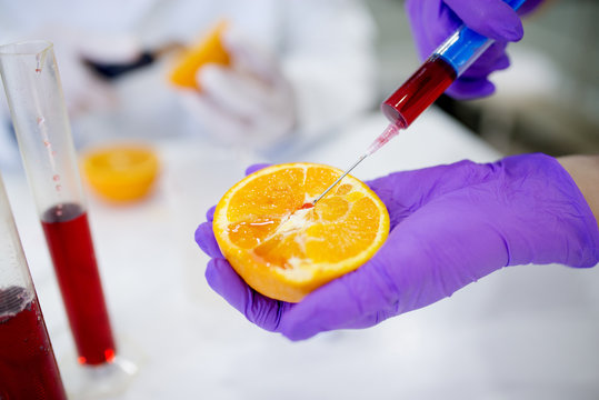 Close up of a hand holding orange with syringe for genetic testing.