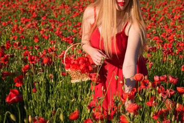 Lovely young blonde girl in a poppy field at sunset light