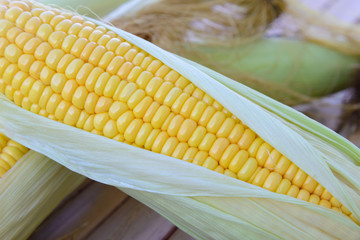Fresh corn on cobs on rustic wooden
