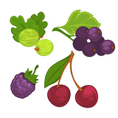 Berries with leaves set in colors isolated on white