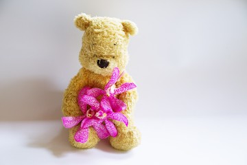 Bear is with lipstick on white background