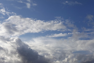 Fototapeta na wymiar Blue sky with clouds and a gull