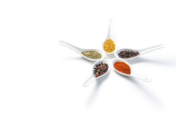Close-up view of assorted aromatic spices in white ceramic spoons isolated on white