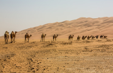 Fototapeta na wymiar UAE Desert
