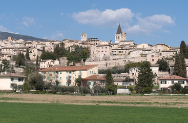 Italy, Panorama of Spello