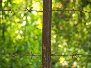 Wall