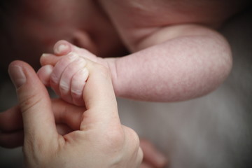 sweet baby holds mothers finger
