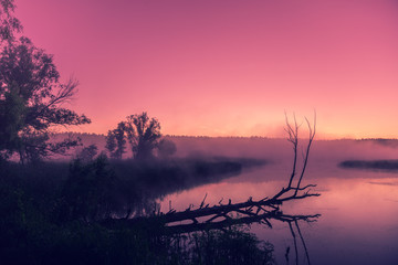 Obraz premium A misty morning over the river. Pink dawn over the river. Rural landscape