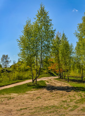 Fototapeta premium Sunny summer day