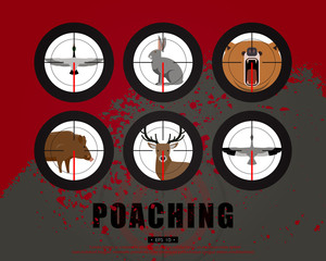 Fototapeta premium Hunter, hunting, game, hobby, sport. Poaching, crime. Wild animals and birds in the rifle sight. Template for a poster, banner, leaflets, covers, flyers. Vector illustration of EPS 10.