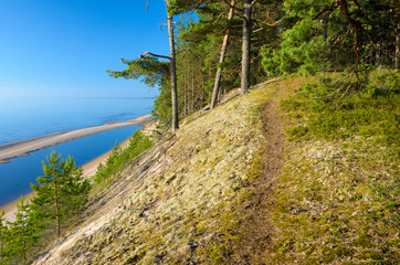 Footpath goes on the steep bank. Baltic Sea coastline, Latvia. - 159288794