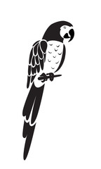 Parrot vector icon © ColorValley