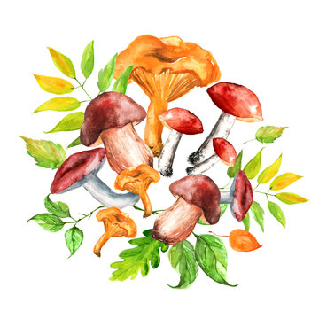 Watercolor decorative element from autumn leaves, mushrooms, berries on white isolated background. Beautiful vintage postcard, invitation, poster, element for your design.
