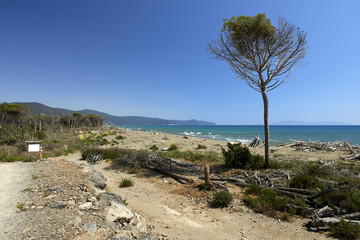 maremma