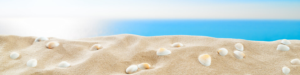 Fototapeta na wymiar On the Beach - Sand dune with shells in front of the beautiful blue sea
