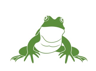 Green frog. Isolated frog on white background