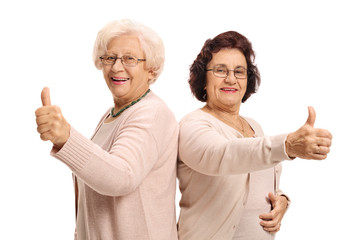 Two cheerful mature women holding their thumbs up