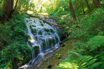 Waterfall and blue stream in the forest Thailand nature background for design