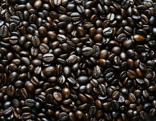 Coffee beans 