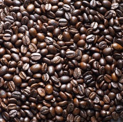 Coffee beans 