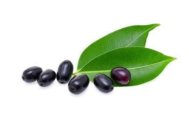 Jambolan plum or Java plum on white background