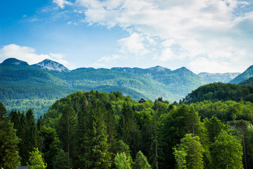 View of julian alps  in bohinj lake slovenia