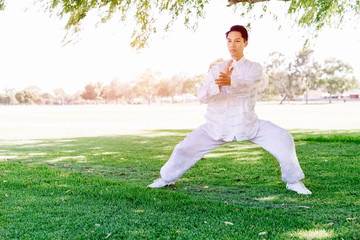 Handsome man practicing thai chi