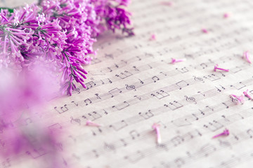 Light purple lilac flower half frame on music sheet as a background