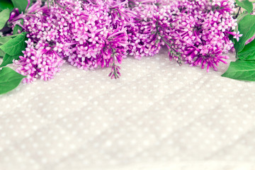 The beautiful lilac on a light textile background