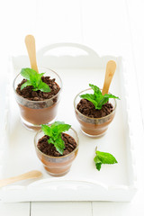 Chocolate peppermint mousse in glasses.