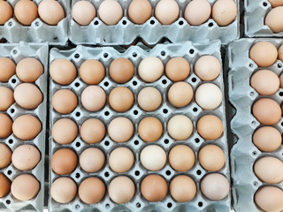 Brown organic cage-free eggs