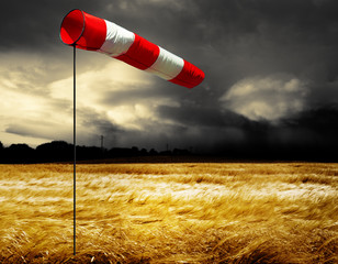 Unwetter über  Kornfeld