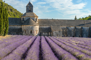 Senanque abbey with a lavender field, Provence, France - obrazy, fototapety, plakaty