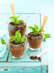 Chocolate peppermint mousse in glasses.
