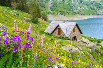 Fototapety na wymiar - Fototapeta24.pl