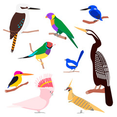 Vector set of australian birds - 159298192