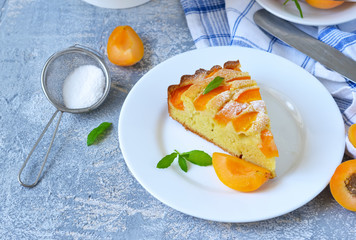 Homemade cake with apricots and nectarines on a concrete background.