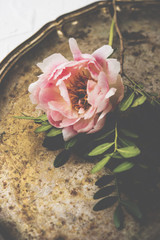 pink peony flower on old vintage silver tray