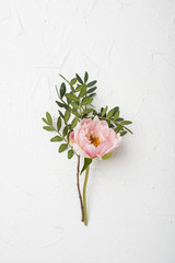 pink peony flower on white textured background