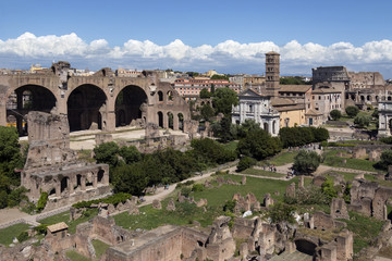 Obraz premium Roman Forum - Rome - Italy
