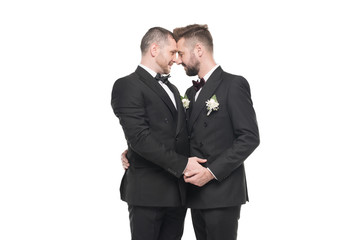 homosexual couple of grooms in suits able to kiss isolated on white