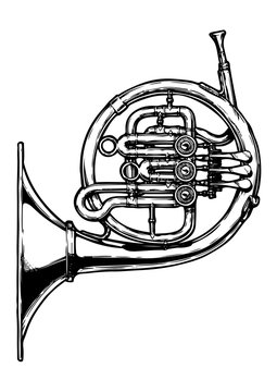 illustration of french horn