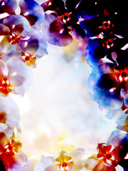 flower on abstract color background. Orchid flower.