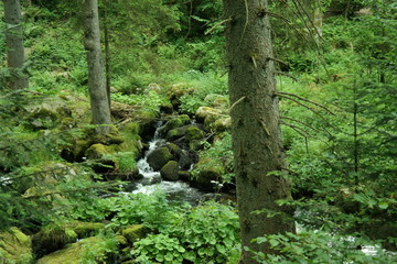 small waterfall