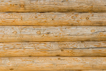 wooden wall from logs, house, pine, conifer, trees, building, backdrop, texture, close-up