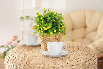Two cups of tea and beautiful house plant on table at home