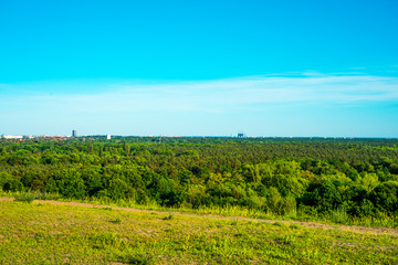 forest with city in the background