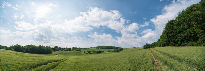 Obraz premium Green field and sky with clouds at sunny day